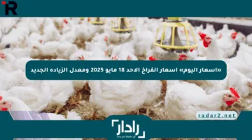 «أسعار اليوم» أسعار الفراخ الأحد 18 مايو 2025 ومعدل الزيادة الجديد